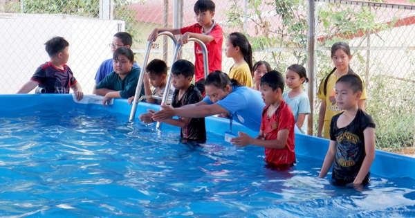 Thủ tướng yêu cầu khẩn trương tổ chức dạy bơi trong các cơ sở giáo dục