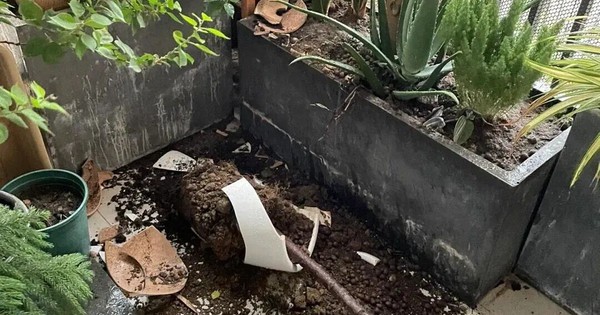 Sau 1 năm dùng ban công mở, tôi hiểu vì sao nhiều người muốn đóng lại
