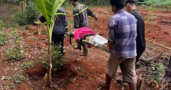 Người đàn ông rơi xuống giếng sâu 35m giữa khu rẫy vắng, cảnh sát đi bộ xuyên rừng để cứu người