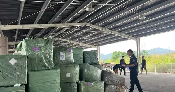 Bắt giữ 4 container hàng giả thương hiệu Louis Vuitton, Rolex, Chanel