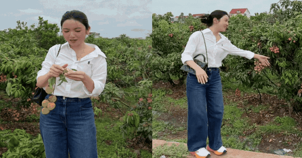 Chu Thanh Huyền gặp sự cố giữa vườn vải