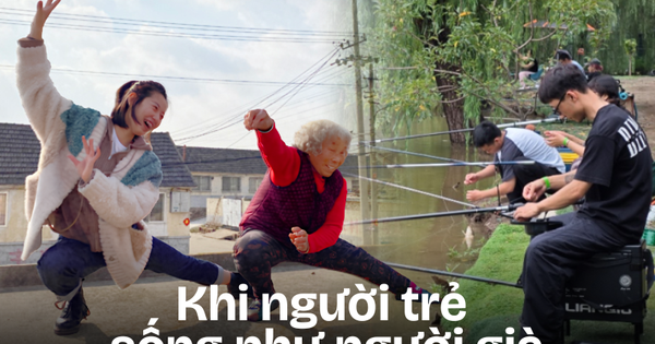 Từ trà sữa sang trà kỷ tử, từ yêu “red flag” sang thích người sống ổn định: U30 đang sinh hoạt như 70 tuổi!