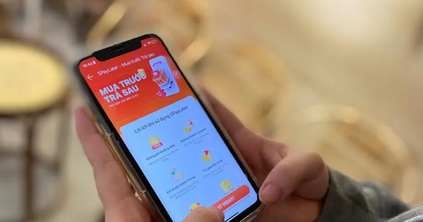 Đứng sau SPayLater của Shopee, Ví Trả sau của Momo,…là những ngân hàng nào?