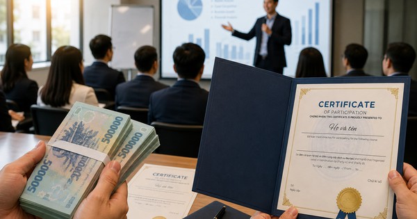 Học làm CEO, nhận hỗ trợ 28 triệu đồng/ứng viên: Những ai sẽ được tham gia?