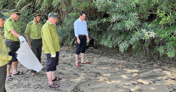 Con vật quý nặng 5 kg 