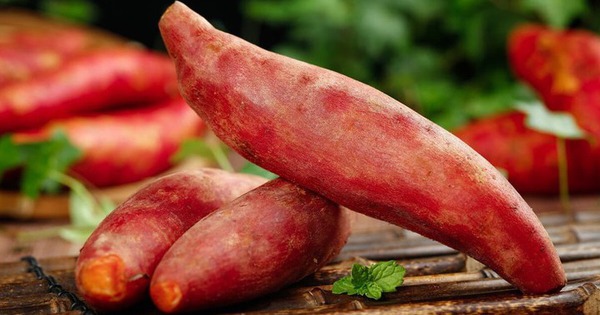 Ăn khoai lang mỗi sáng, người phụ nữ 55 tuổi nhận thấy điều 