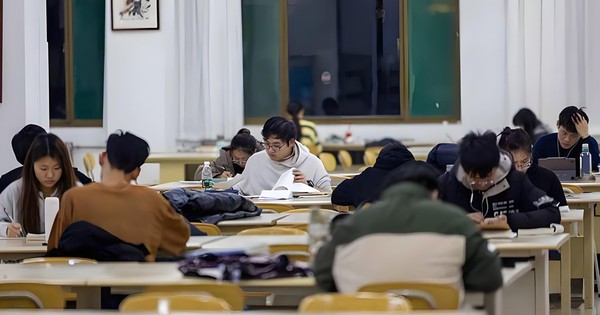 Chỉ học ngoại ngữ thôi rất dễ bị AI thay thế, kết hợp 3 ngành này mới là sự lựa chọn HOÀN HẢO nhất