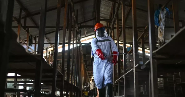 Congo: Khu điều trị bệnh nhân Ebola bị phóng hỏa, 18 ca nghi nhiễm bỏ trốn