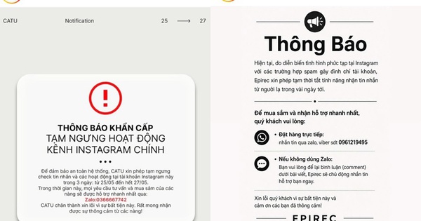 Hàng loạt brand 