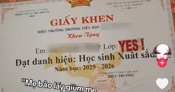 Tờ giấy khen gây 