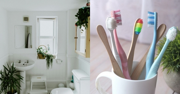 Nhiều gia đình đang để bàn chải đánh răng kiểu này mà không biết: Có nguy cơ “nuôi ổ vi khuẩn” ngay trong nhà tắm