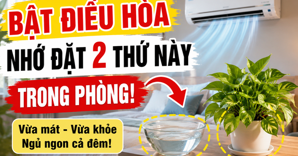 Trước khi bật điều hòa, người khéo thường đặt thêm 2 thứ này trong phòng: Vừa dễ ngủ vừa đỡ khô da