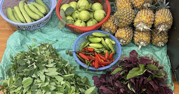 Con vừa nghỉ hè mẹ chồng tôi đã bày ra cái trò không thể chấp nhận nổi