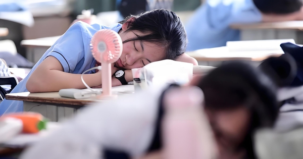 GVCN 17 năm phát hiện nghịch lý: Những đứa trẻ ích kỷ khi lớn lên, lúc nhỏ thường sở hữu 2 