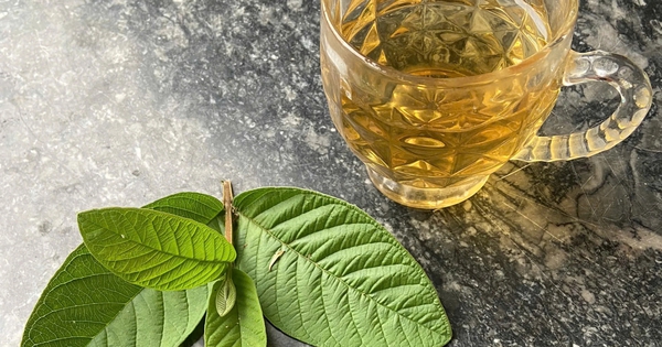 Cơ thể thay đổi thế nào nếu uống lá ổi liên tục vài tuần?