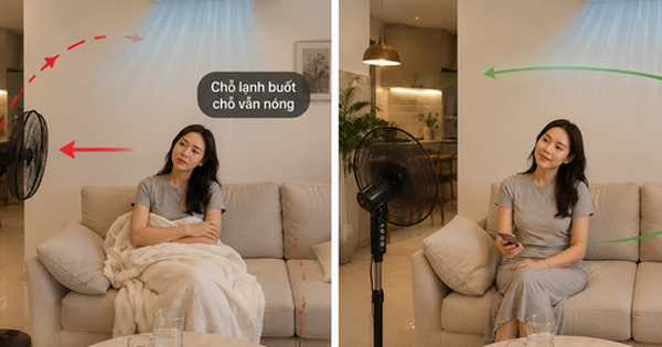 Chỉ vì đặt sai hướng quạt, tôi đã tốn thêm gần 300 nghìn tiền điện mỗi tháng