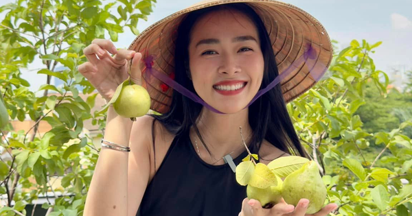 Mỹ nhân Việt làm chủ 3 công ty, sống trong nhà phố 100m2, sân thượng trồng gì mà lúc nào cũng trĩu quả?