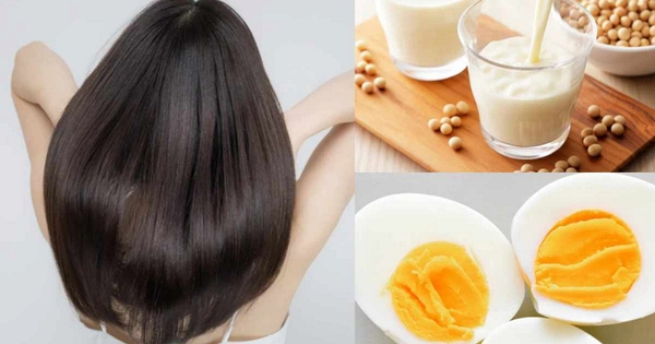 Nên ăn gì để giảm rụng tóc? Công bố danh sách 