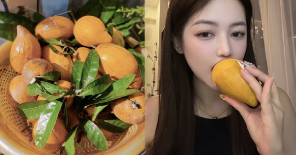 Quả trứng gà rụng đầy gốc ở Việt Nam, sang nước ngoài thành hàng hiếm, bán hơn 1 triệu đồng vẫn có người mua
