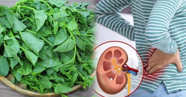 Loại rau có vị nhớt khó ăn nhưng lại được coi là 