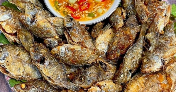 Chiên cá đừng chỉ dùng dầu ăn: Thả thêm một mẩu này vào chảo, cá giòn rụm, không bắn dầu mà lại thơm 