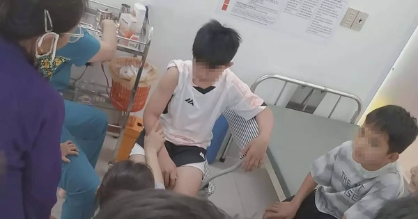 Chó 'điên cuồng' lao vào cắn xé 6 người đi đường