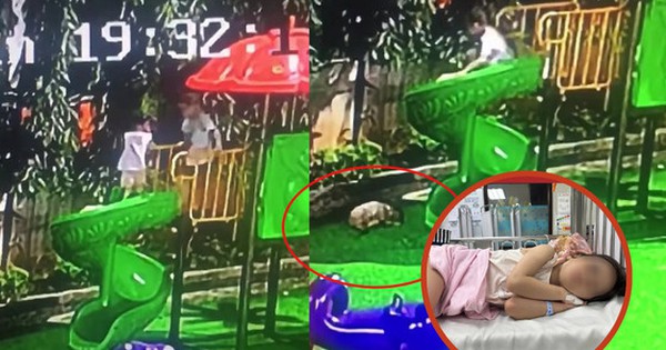 Đã tìm được gia đình bé trai đẩy ngã bé gái từ cầu trượt, nạ