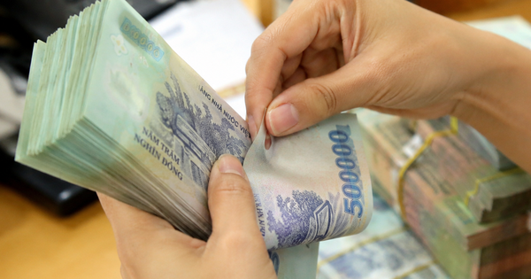 Bao nhiêu người đang hưởng lương hưu trên 20 triệu đồng/thán