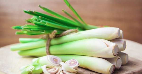 Vì sao người xưa thích trồng cây sả quanh nhà?