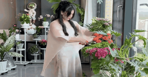 Triết lý "tứ dưỡng" gây bão mạng: Bí quyết chọn bạn mà chơi,