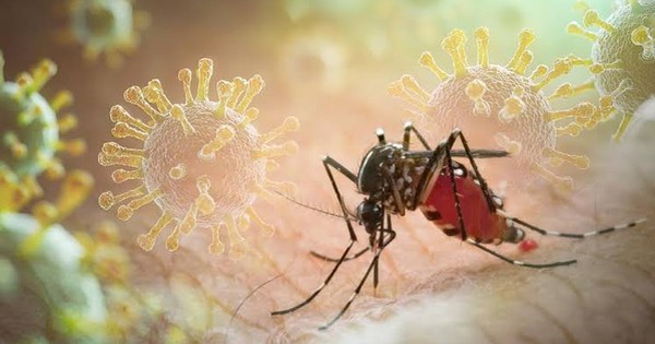 Sốt xuất huyết Dengue phá vỡ quy luật cũ: Ghi nhận hơn 50.00
