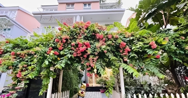 Nữ diễn viên cả đời đóng vai phản diện: U50 không muốn lấy c