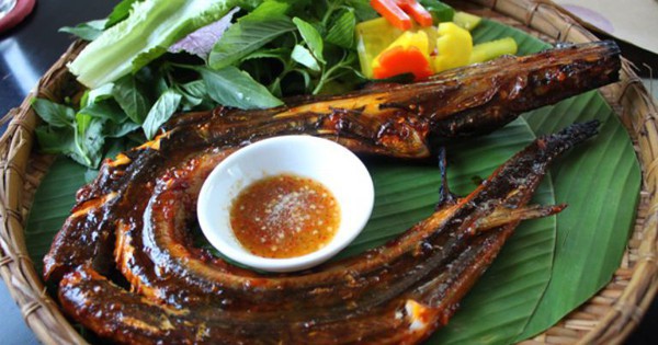 Loại cá có tên "hờn cả thế giới", trả cao nhiều ngư dân vẫn 