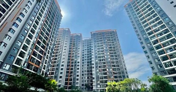 Sốc: Giá chung cư TPHCM chạm mốc cao nhất mọi thời đại