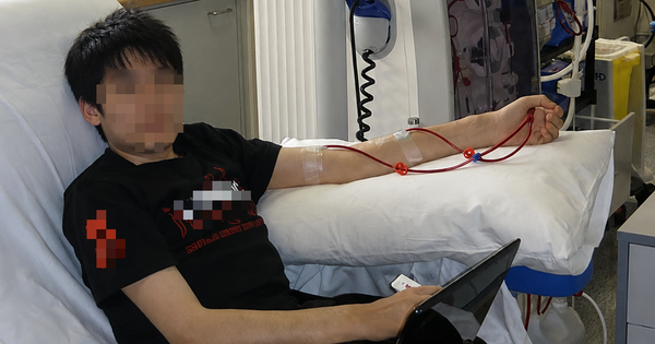 Nam nhân viên IT 28 tuổi cấp cứu vì suy thận, bác sĩ bất lực: 6 thói quen 