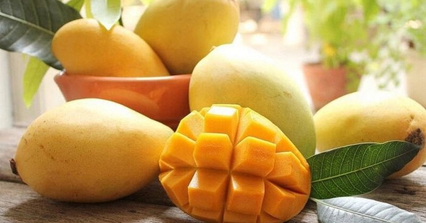 Không chỉ giàu vitamin C, xoài còn được đánh giá cao nhờ 3 lợi ích với sức khỏe