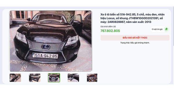 Hạ giá 2 xe sang của bà Trương Mỹ Lan để đấu giá lại