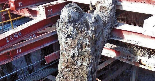 Đào sâu 30m dưới lớp nước ngầm, phát hiện vật thể “tỏa mùi thơm” dài 35m: Công trường lập tức bị phong tỏa