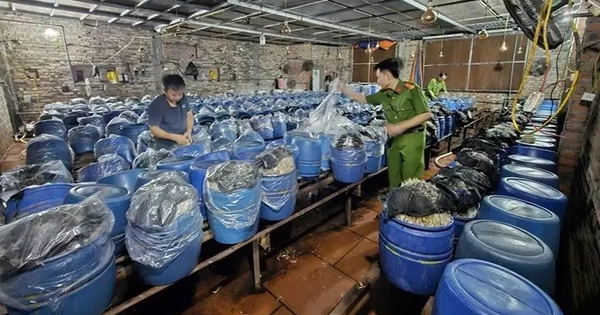 Khởi tố 3 chủ cơ sở tuồn ra thị trường gần 1.000 tấn giá đỗ ngâm hoá chất