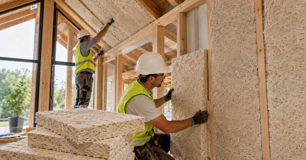 Phát minh làm rung chuyển ngành xây dựng: Biến nấm thành gỗ, năng suất cao nhưng chi phí thấp