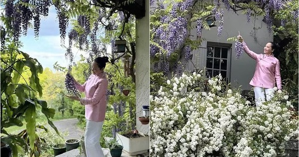 Mỹ nhân bỏ hết hào quang showbiz, lui về ở ẩn: Tận hưởng bình yên trong nhà vườn 4.000m2 đẹp như tranh