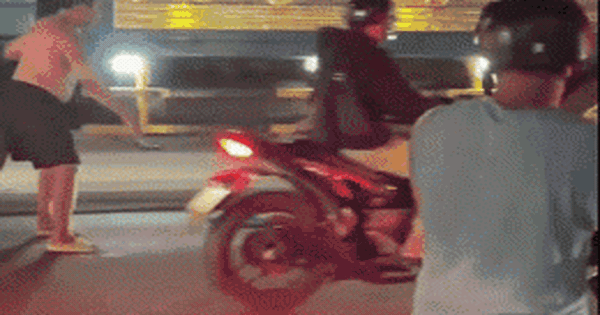 Cá sấu bò, trườn 