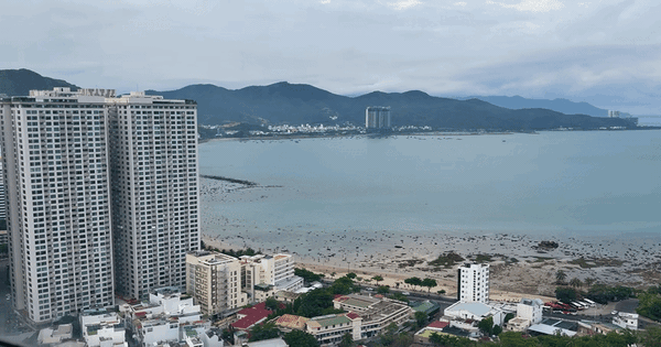 Cảnh tượng ở bãi biển Nha Trang khiến nhiều người bất ngờ, nhận xét: Không tin vào mắt mình