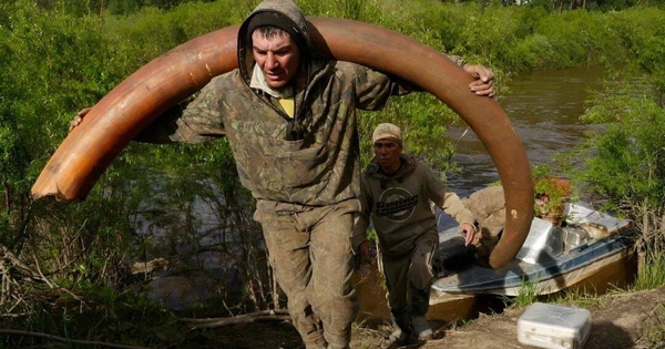 Bí ẩn rùng rợn đằng sau cơn sốt săn lùng xác voi ma mút Siberia