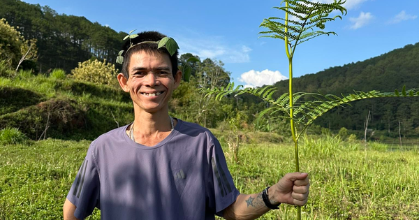 Giờ mới biết “anh chăn bò” Sô Y Tiết từng được ghi danh tại Latin Grammy: Hiện tại đang đối mặt biến cố sức khỏe