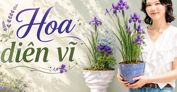 Một phụ nữ biến hoa diên vĩ thành “tác phẩm nghệ thuật”: Nhìn thôi mà ai cũng muốn trồng thử một cây trong nhà