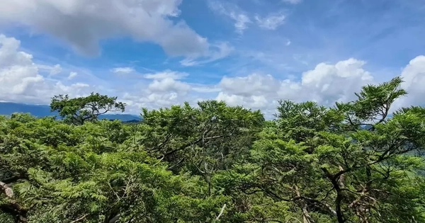 Phong Nha - Kẻ Bàng được công nhận là Khu Dự trữ sinh quyển thế giới