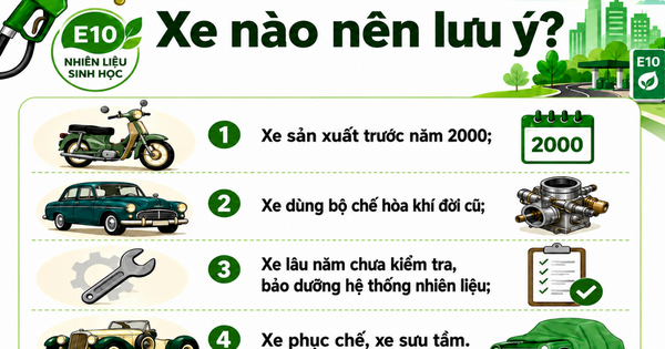 Loại xe nào cần lưu ý khi dùng xăng E10?