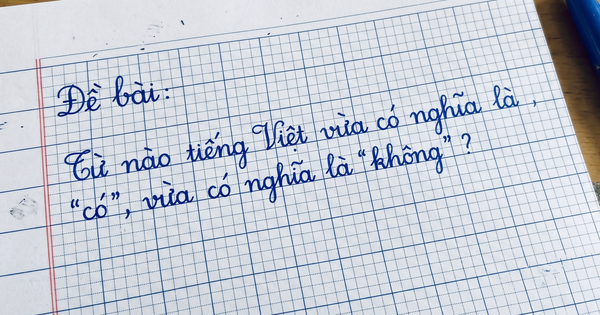 Trong tiếng Việt có một từ vừa là có vừa là không