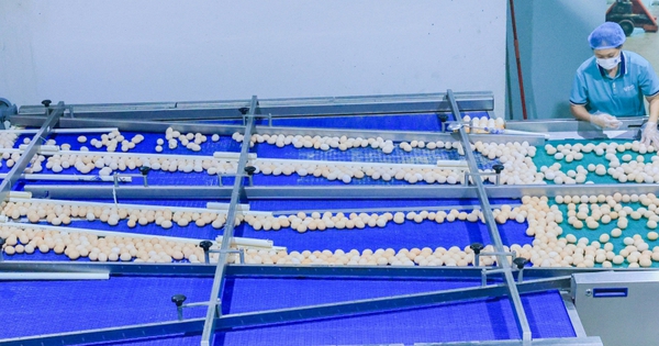 Phát hiện 1 nhà máy trứng sản xuất gần 900.000 quả/ngày: Trứng “không chạm đất” từ lúc đẻ tới lúc bán